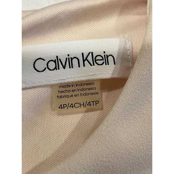 Calvin Klein Women Fit & Flare Dress Illusion Mesh Trim CT9C112C Pink Size 4P - Picture 8 of 10